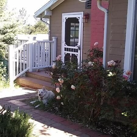 Blue Bird Cottage - Pet Friendly Julian Ngoại thất bức ảnh