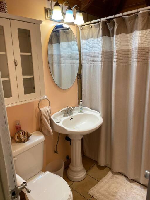 Blue Bird Cottage - Pet Friendly Julian Ngoại thất bức ảnh
