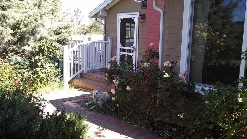 Blue Bird Cottage - Pet Friendly Julian Ngoại thất bức ảnh